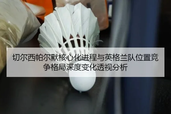 切尔西帕尔默核心化进程与英格兰队位置竞争格局深度变化透视分析